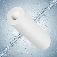 Cartouche filtrante en PP sanitaire de qualité GMP, 1 micron, adaptée à la filtration de l'eau médicale