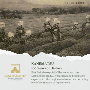 ผงมัทฉะออร์แกนิกจากญี่ปุ่นเกรดพรีเมี่ยมพร้อมการรับรองจาก Jas - Product Image 5