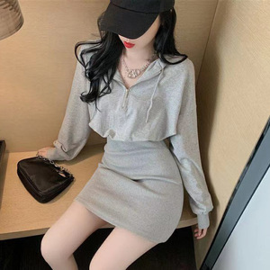 Hooded Long Sleeve Bodycon Dress Tight Waist Zipper Solid Color Casual Daily Wear Women's Mini Skirt Black Gray White - Product Image 3