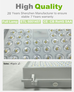 ETL SAA CE lumière d'auvent LED intégrée 80W 100w 150w 140LM/W 190LM/W lampe LED d'auvent de <span class=keywords><strong>station</strong></span>-service à très haute luminosité Shenzhen - Product Image 5
