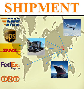 有機基数<span class=keywords><strong>Notoginseng</strong></span>エキス粉末工場供給 - Product Image 3