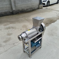Pomelo RVS pulp-sapseparator aardbei moerbei grote industriële sapcentrifuge voor fruitverwerkingsbedrijf hoogwaardig