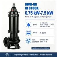 Pompa Pencacah Limbah Celup Besi Cor BWQ-QG 0.75-15kW untuk Drainase Air Limbah Proyek Kota dan Industri