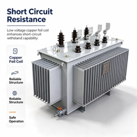 Transformateur de distribution triphasé à double enroulement en alliage amorphe immergé dans l'huile Shenmeng S(B)H15 30kVA-2500kVA 10kV 400V