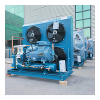 Luchtgekoelde condensorunit met zuigercompressor voor koude opslag, versvriezen, dubbele hoog-efficiënte warmteafvoer