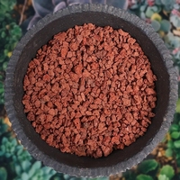 Batu Lava Merah 3/8"-1/4" untuk Campuran Tanah Bonsai, Sukulen & Kaktus Eksterior