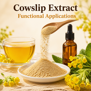 Extracto de Primula Veris 10:1, Extracto de Flor de Primula Veris en Polvo, Extracto Herbal <span class=keywords><strong>Natural</strong></span> a Granel <span class=keywords><strong>para</strong></span> Suplementos - Product Image 2