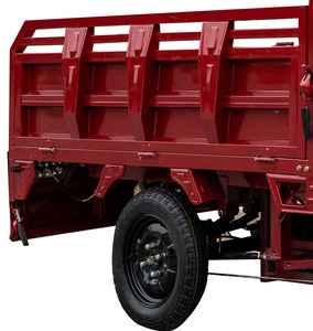 Vehículo de 3 Ruedas Económico, Triciclo con Motor Eléctrico de 1500w, Trike T3 Barato de 3 Ruedas - Product Image 2