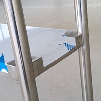 Étagère de rangement de cuisine commerciale en acier inoxydable à 2 niveaux, table de préparation alimentaire robuste pour restaurant, hôtel