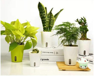 Vaso per Piante da Vivaio con Irrigazione Automatica 23CM in PP, Design Moderno, Livello dell'<span class=keywords><strong>Acqua</strong></span> Visibile, Foro di Drenaggio per Giardinaggio Domestico - Product Image 6