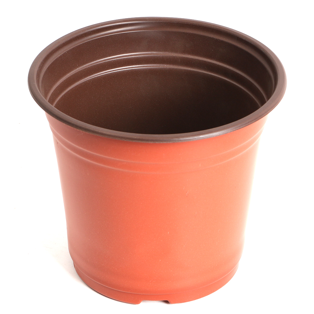 Color de terracota