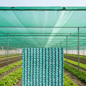 <span class=keywords><strong>Filet</strong></span> de fenêtre anti-poussière vert PEHD <span class=keywords><strong>Filet</strong></span> de protection contre le <span class=keywords><strong>vent</strong></span> <span class=keywords><strong>Filet</strong></span> coupe-<span class=keywords><strong>vent</strong></span> tricoté <span class=keywords><strong>avec</strong></span> oeillets - Product Image 1