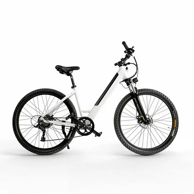 จักรยานไฟฟ้าสำหรับจักรยานเสือภูเขาจักรยานไฟฟ้า500W ระบบกันสะเทือนแบบย้อนยุคสำหรับจักรยานอลูมิเนียมภายในเมือง