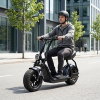 Trottinette électrique puissante HS6 1000W pour adultes, frein hydraulique 10 pouces, autonomie 60 km, étanche, double suspension, alliage d'aluminium