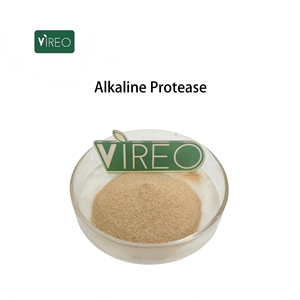 Pó de Protease Alcalina Pura para Processamento de Alimentos Fabricante Direto Protease Alcalina - Product Image 1