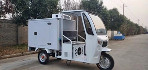 Tricycle réfrigéré à essence/électrique à alimentation CC, boîte réfrigérée pour poulet/glace - Product Image 4