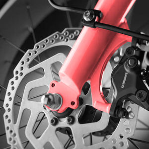 Vélo cargo électrique Bosch à gros pneus, 250W, 36V, cadre en alliage d'aluminium de 20 pouces, porte-bagages arrière <span class=keywords><strong>pour</strong></span> adulte, vente en gros - Product Image 3