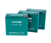 XUPAI Brand Lead Acid Battery for Electric Bicycle
