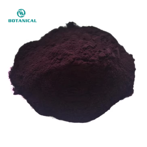 B.c.i trái cây đông khô aronia chokeberry bột đen aronia chokeberry chiết xuất - Product Image 3