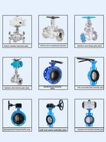 Vanne à soufflet PN16/20 en acier inoxydable 304/316L, résistante à la corrosion, pour vapeur haute température