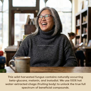 Yüksek Kaliteli Organik Gıda Sınıfı Solvent Ekstraktı %30 %60 Polisakkaritler Çaga Mantarı Ekstraktı Tozu - Product Image 6