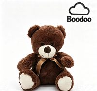 Teddybeer Kleding Gepersonaliseerd Beer Mascot Kostuum Op Maat Groothandel Ontwerp Superzacht Pluche PP Katoen Unisex Verjaardag Stress