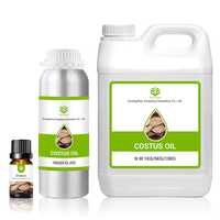 Prix de gros de l'huile de racine de Costus indien 100% huile de racine de Costus naturelle pure huile essentielle de racine de Costus biologique