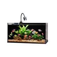 Nano aquarium en verre à faible teneur en fer 91 % clarté, aquarium de bureau personnalisé en gros avec filtre silencieux et lampe COB à CRI élevé