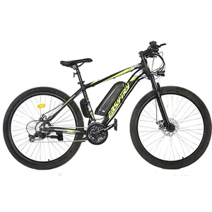 Electric Bike 250w Hot High Quality E Bike China Manufacturer Customized 10Ah Electric Bike 36V/48V 250W/350W/500W Electric Bicycle Mountain Bike