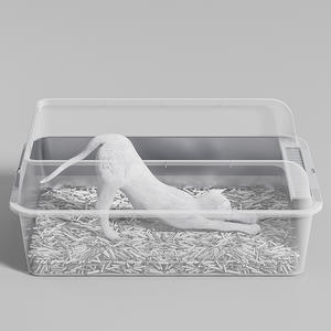 Vente en gros Enceinte <span class=keywords><strong>Toilette</strong></span> pour <span class=keywords><strong>chat</strong></span> en acier inoxydable Super Big Cat Litière <span class=keywords><strong>Maison</strong></span> avec plateau à pelle - Product Image 5