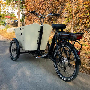 Pas de droits d'importation, sièges avant pour bébé, vélos électriques de famille à la mode avec housse de pluie et <span class=keywords><strong>porte</strong></span> latérale - Product Image 5