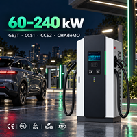 Station de recharge commerciale pour véhicules électriques CCS2 CCS1 GB/T CHAdeMO Chargeur rapide DC CE OCPP Double pistolet 60/80/120/160/180/240kW Carte QR IP55