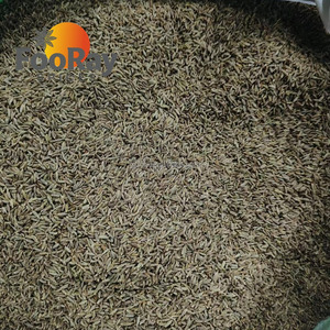 เมล็ดยี่หร่าพรีเมียม <span class=keywords><strong>10</strong></span> กรัม คุณภาพแท้ ตรวจสอบคุณภาพอย่างละเอียด พร้อมจัดส่งรวดเร็ว มีชุดทดสอบ ค่าทดสอบคืนได้เมื่อสั่งซื้อจำนวนมาก - Product Image 3