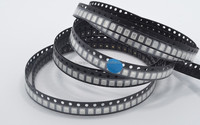 HY 2835 LED SMD 660nm Rouge Profond 0.2W Haute Efficacité PPF >3.0μmol/s/W Puce LED pour Horticulture, Éclairage de Croissance des Plantes, Serre, Ferme Verticale