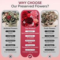 Bouquet de roses réelles préservées à jamais, cadeau pour anniversaire, cadeaux pour femmes, maman, grand-mère, épouse, petite amie