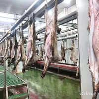Équipement d'abattage et de transformation de la viande pour abattoirs de moutons, matériel d'abattoir