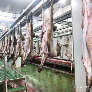 טבילת אבאטיר כבשים ועיבוד בשר ציוד בית מטבחיים - Product Image 2