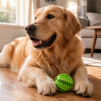 Balle distributrice de friandises pour chien interactive en caoutchouc, moderne, indestructible, résistante aux morsures, jouet à mâcher, 2 tailles disponibles