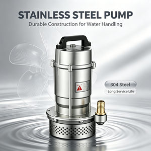 Pompe submersible monophasée QDX à aspiration par le bas, pompe submersible pour eau propre, pour l'extraction d'eau de puits domestique - Product Image 4