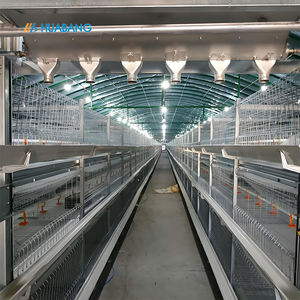 आधुनिक पोल्ट्री फार्म स्वचालित गैल्वेनाइज्ड 3 स्तरों एच प्रकार ब्रोइलर चिकन पिंजरे - Product Image 6