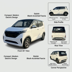 Véhicule électrique quatre roues fermé haute puissance longue portée Peony pour le transport familial des enfants et les trajets pour les courses - Product Image 2