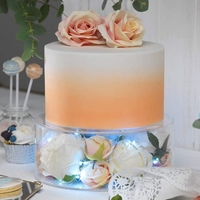 2pcs Séparateur de Gâteau Rond Acrylique Remplissable à Niveau Clair pour Fête d'Anniversaire