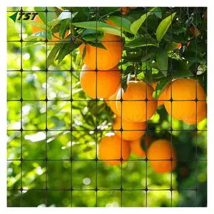 Agriculture orchard protective anti bird net bird resist mesh supplier Black bird net for protecting the agricultural products