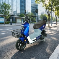 Nouveau vélo électrique 48V 20Ah 800W, 14 pouces, à cadre bas, pour trajets urbains, avec panier avant et siège passager
