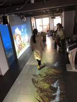 Système de projection interactive sur sol DefiLabs avec 150 effets et matériel nécessaire pour la publicité et les enfants