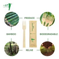 Prix de gros, livraison rapide, écologique, recyclable, ensemble de fourchettes, cuillères et couteaux jetables en bambou de luxe, 25 pièces, logo personnalisé