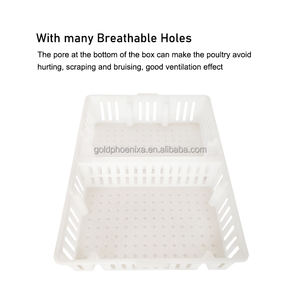 YYC Geflügel träger Huhn Transport boxen Wachtel taube Küken Transport kisten - Product Image 3