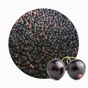 Ribes Nero Surgelato IQF Premium |   All'ingrosso |   Purezza 99,9% (Senza Foglie/Steli) |   Grado Sortex |   Pronto per la Lavorazione |   Approvato BRC - Product Image 3