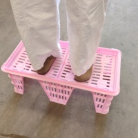 Cage de transport pour œufs de poulet, trous en plastique, caisses de transport pour œufs de poulet avec plateau à œufs, légères et durables