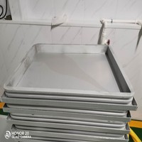 Congélateur IQF en acier inoxydable de qualité alimentaire, machine de congélation rapide par contact pour usine de transformation de fruits de mer, de bœuf et de crevettes